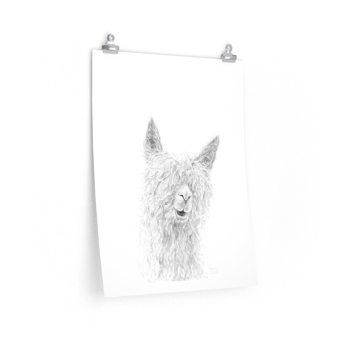 REGINA Llama- Art Paper Print