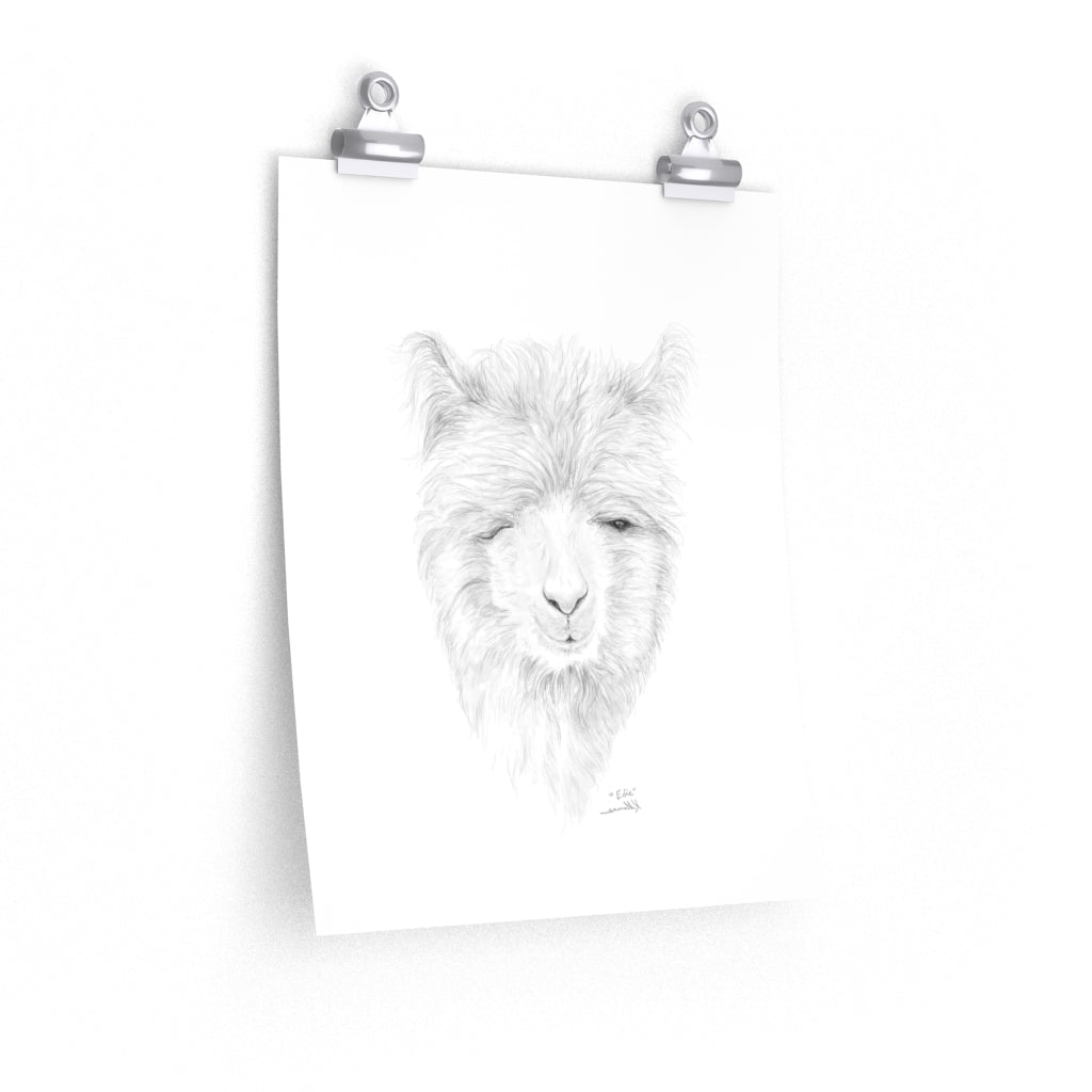 EDIE Llama- Art Paper Print