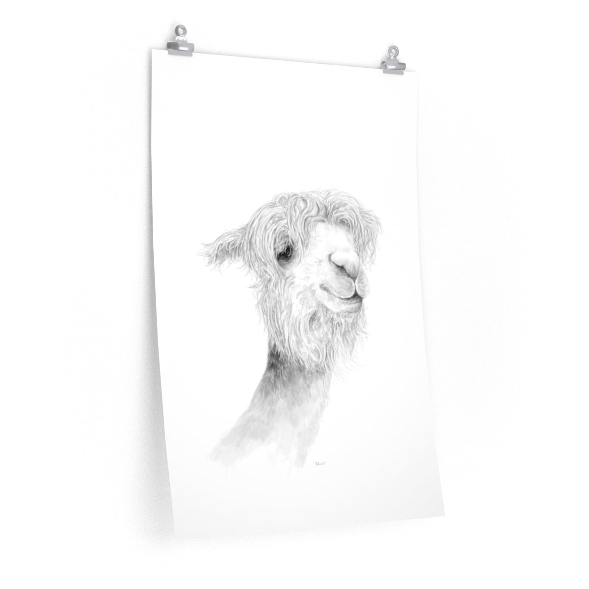 PATRICIA Llama- Art Paper Print