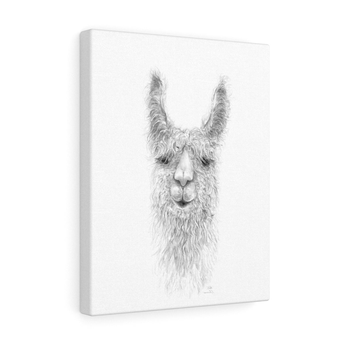 Nikki Llama - Art Canvas