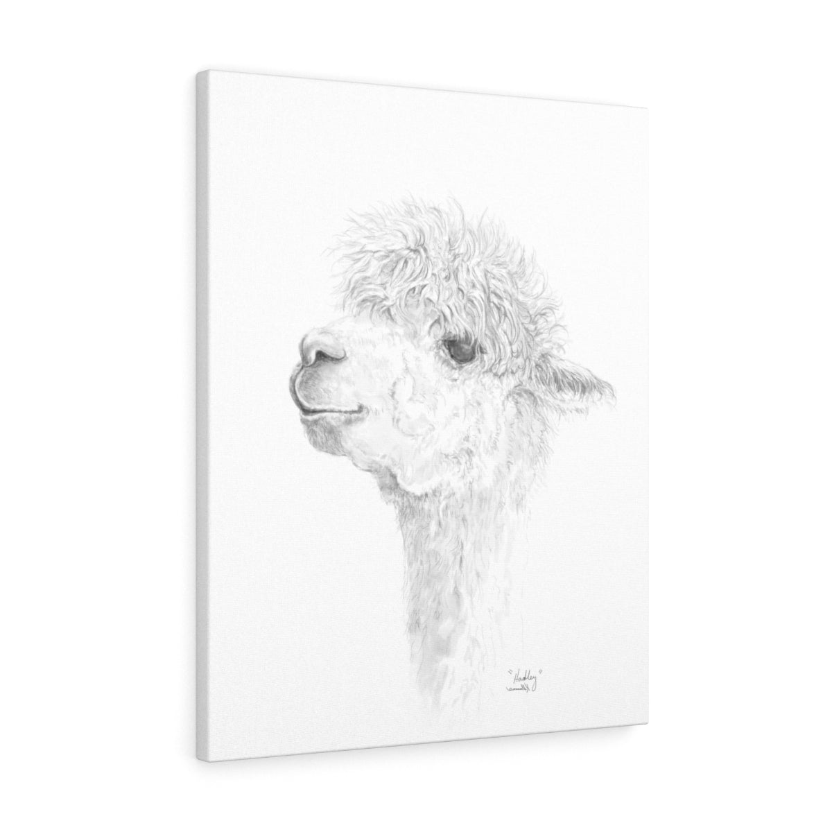 HADLEY Llama - Art Canvas