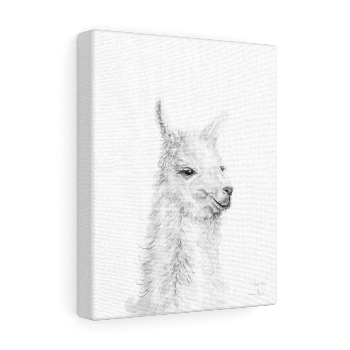 NANCY Llama - Art Canvas