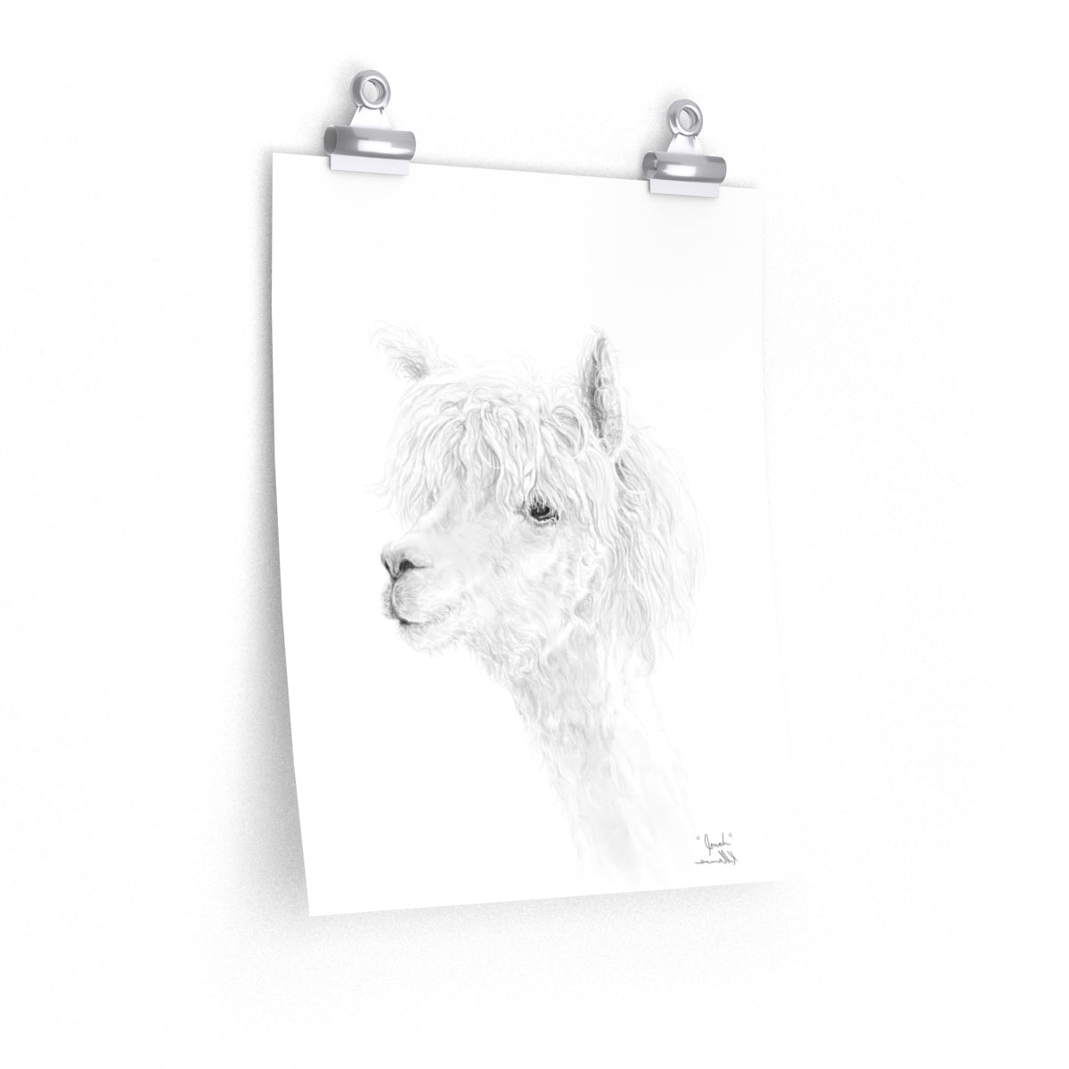 JONAH Llama- Art Paper Print