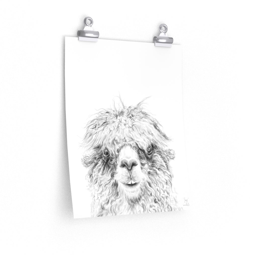 JAY Llama- Art Paper Print