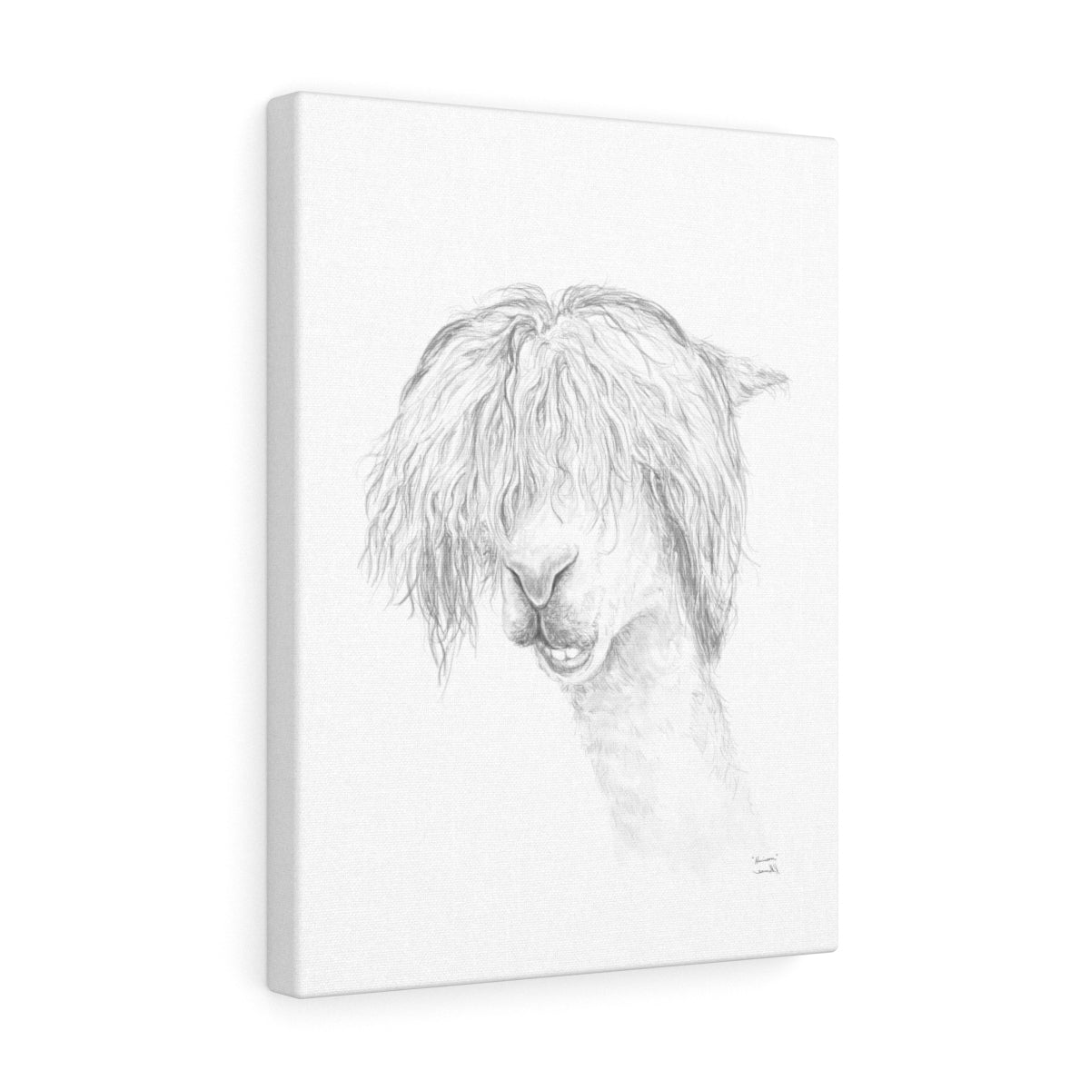 HARRISON Llama- Art Canvas