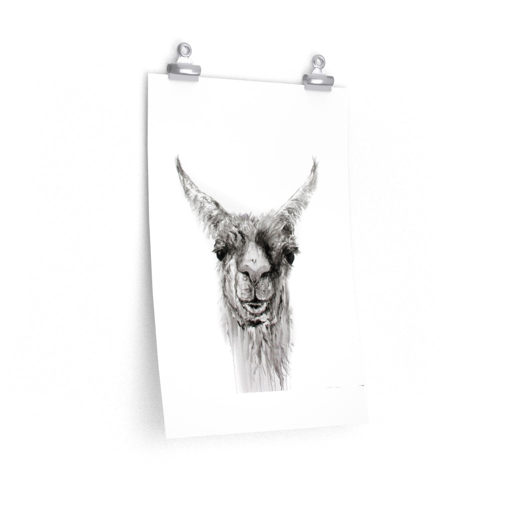 NEMORIO Llama- Art Paper Print