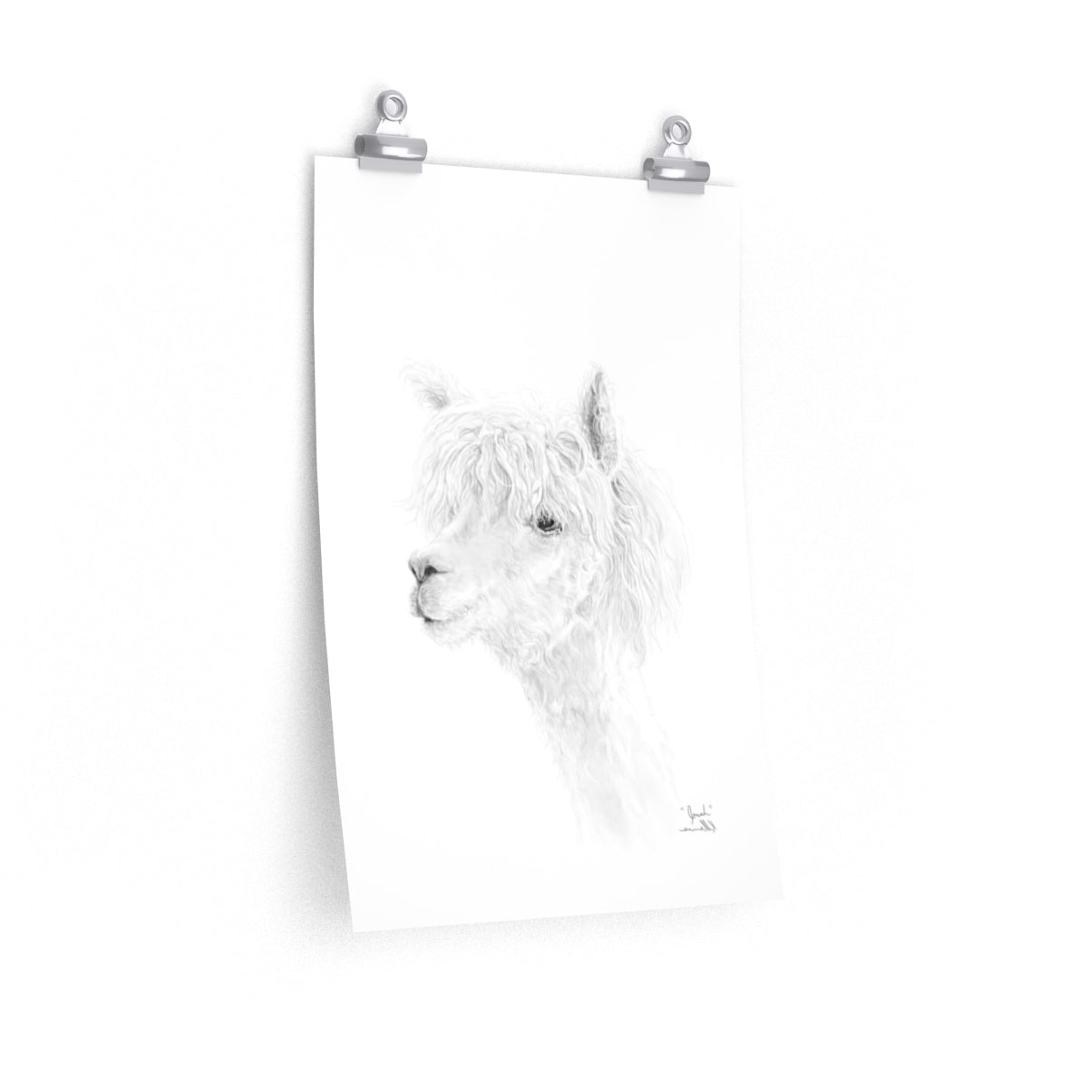 JONAH Llama- Art Paper Print