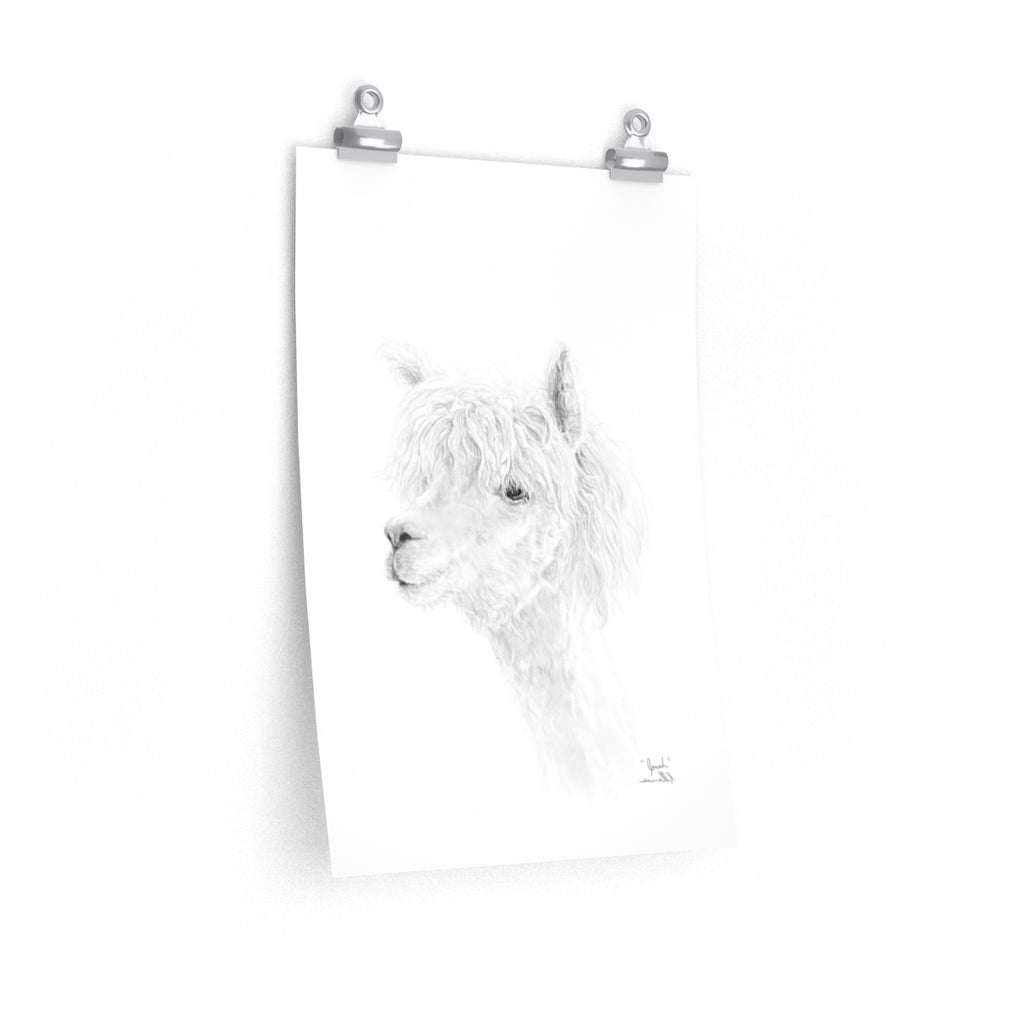 JONAH Llama- Art Paper Print