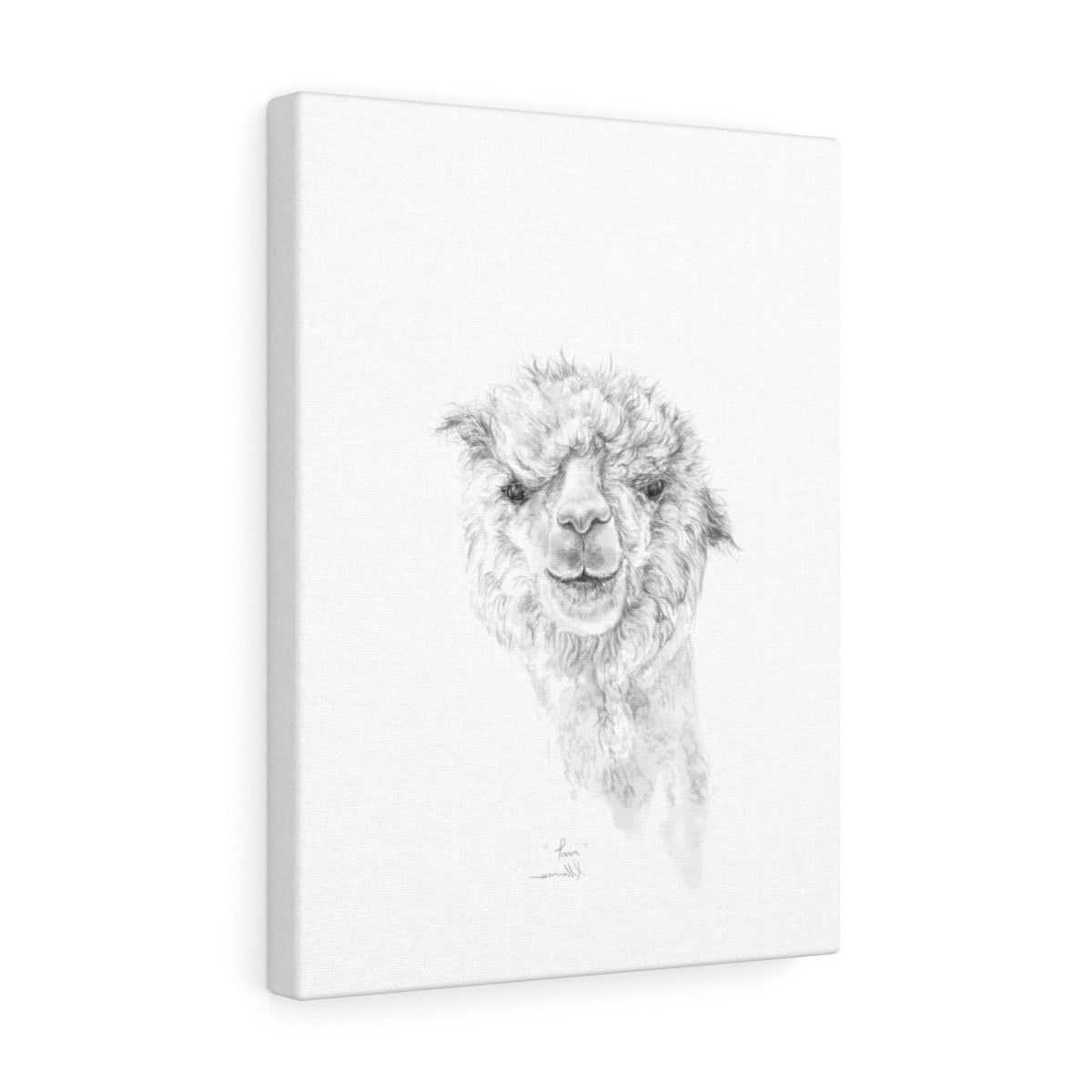 TAVI Llama - Art Canvas