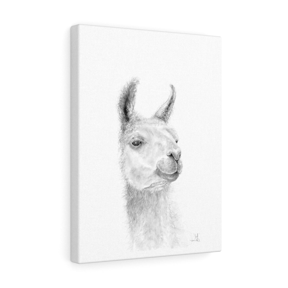 JEFF Llama - Art Canvas