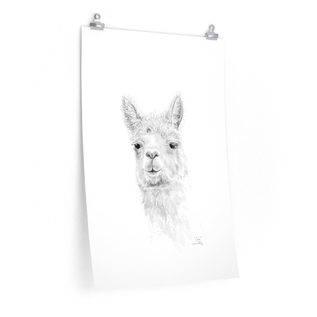 CARI Llama- Art Paper Print