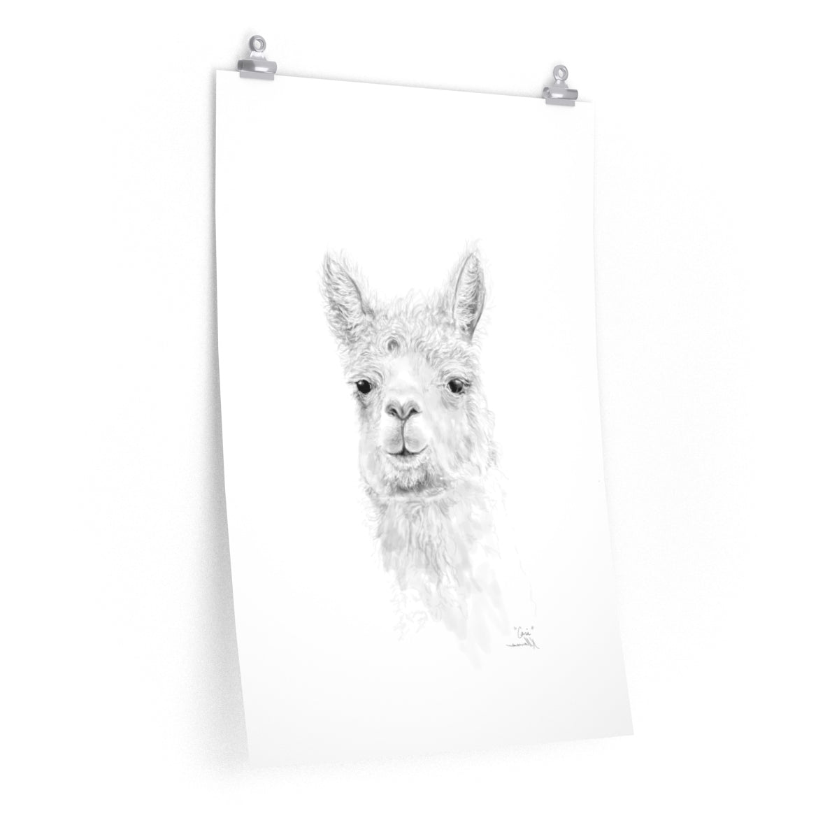 CARI Llama- Art Paper Print