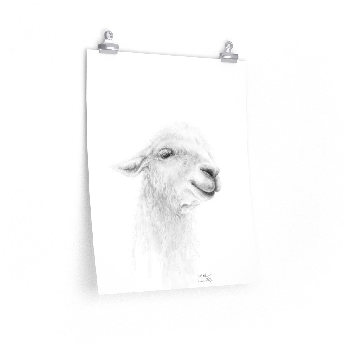 MATTHEW Llama- Art Paper Print