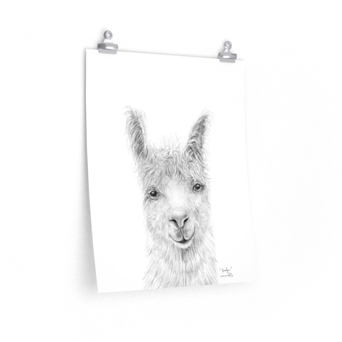 BRIDGER Llama- Art Paper Print