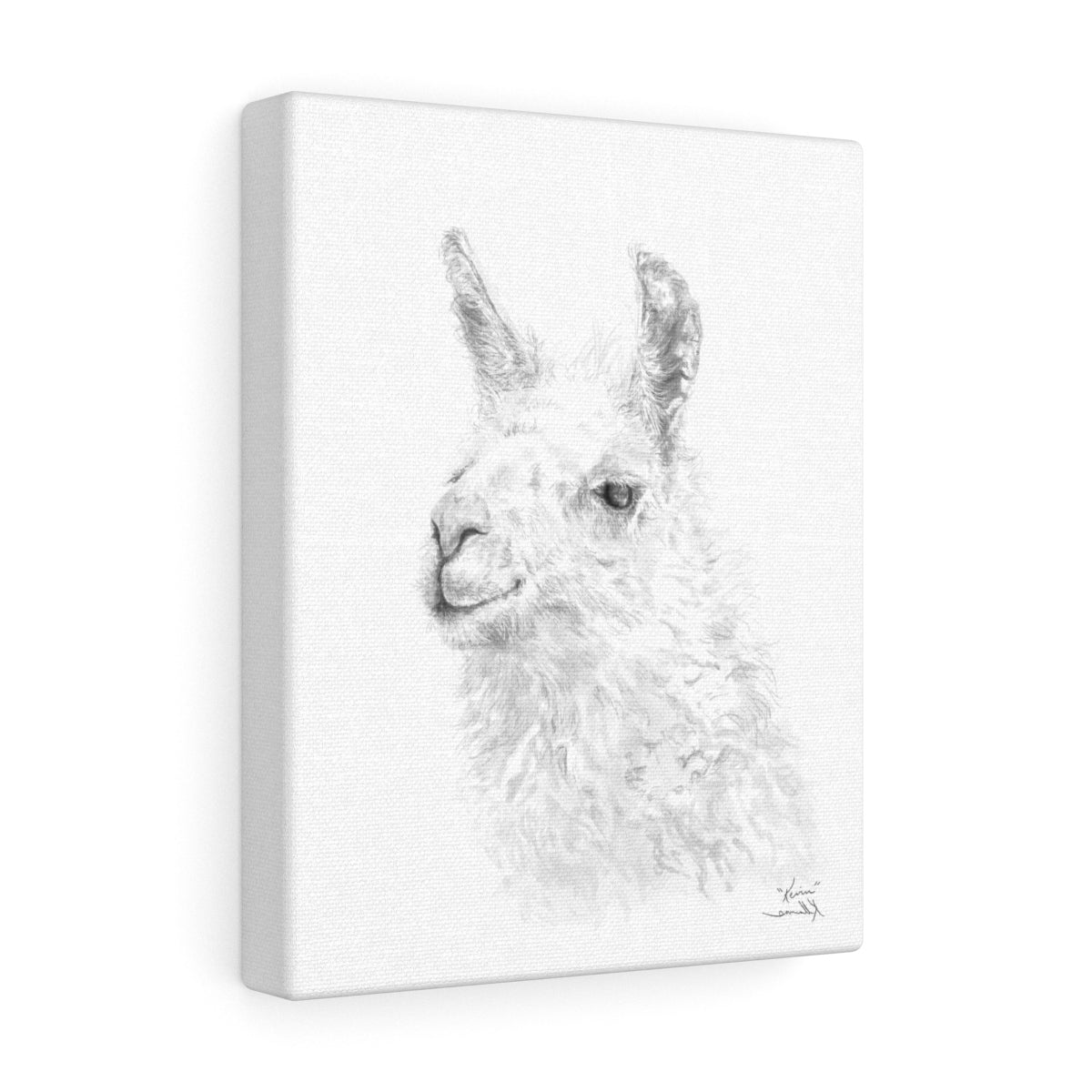 KEVIN Llama - Art Canvas
