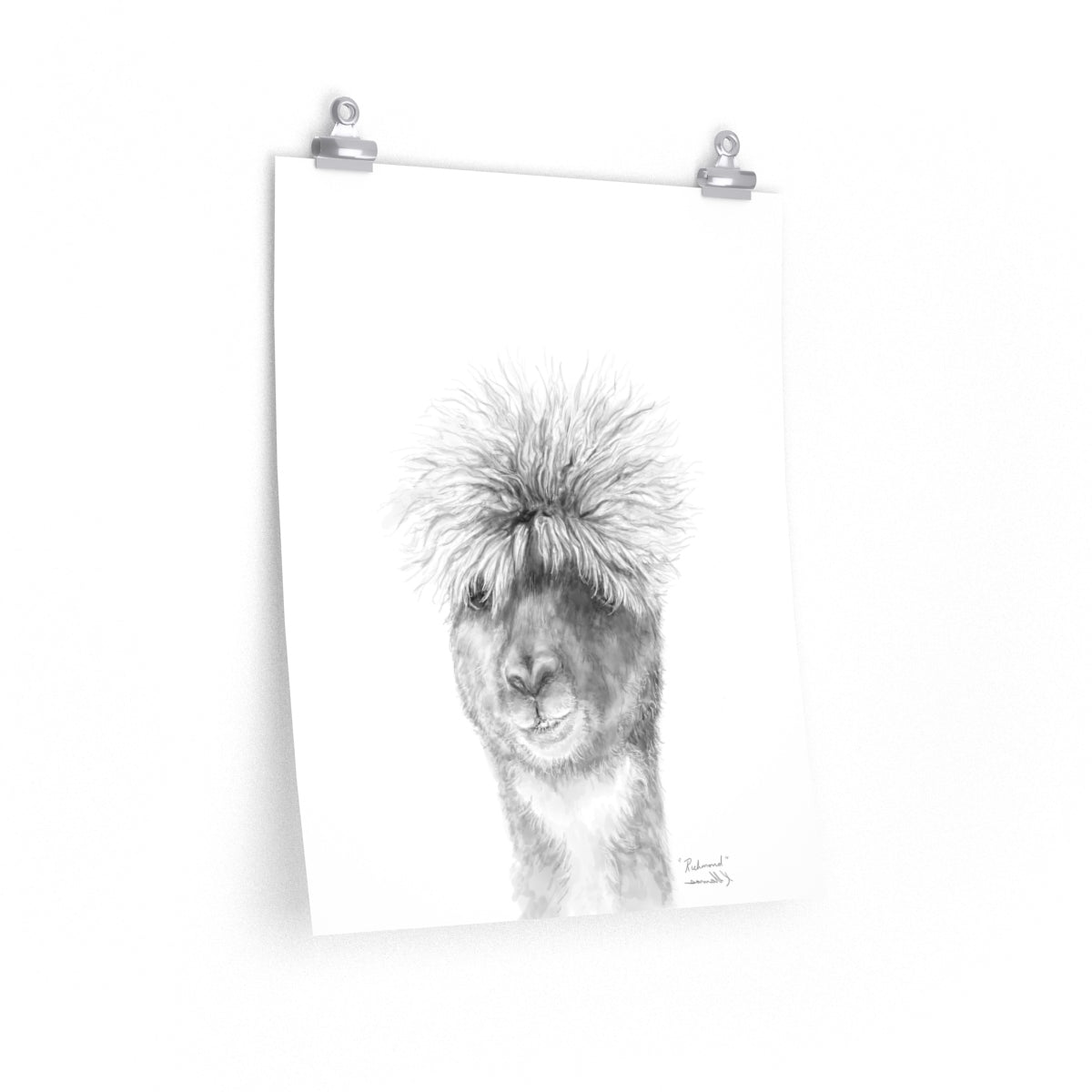 RICHMOND Llama- Art Paper Print