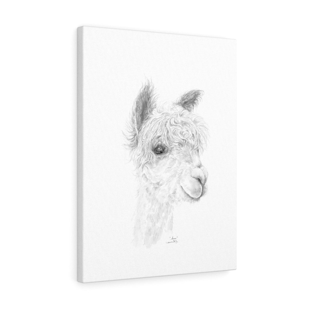 ANNE Llama - Art Canvas