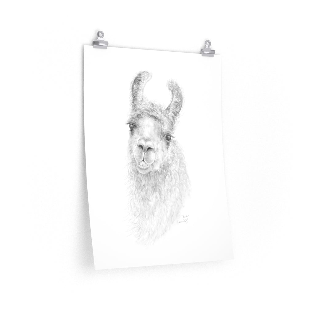 KIRBY Llama- Art Paper Print