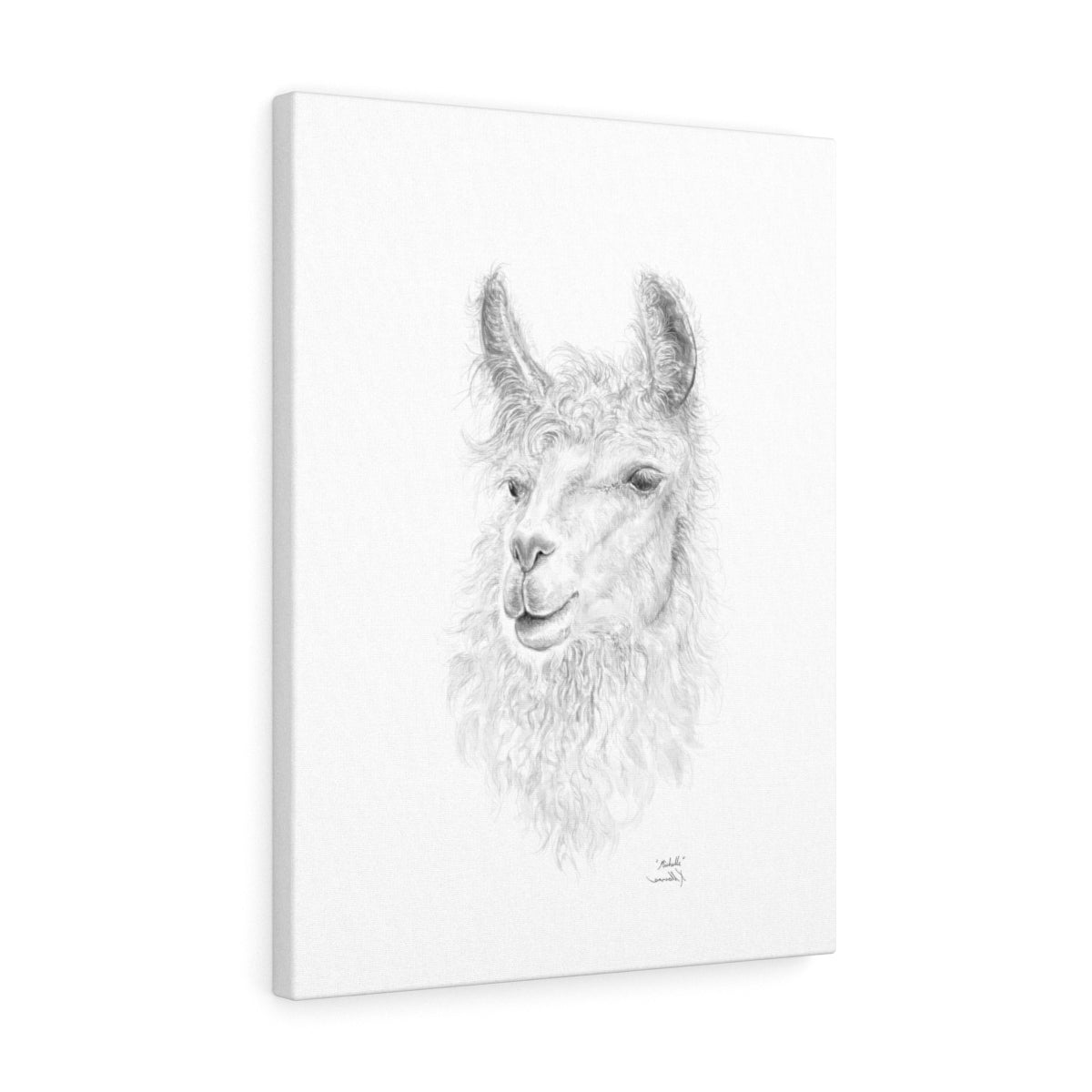 Michelle Llama - Art Canvas