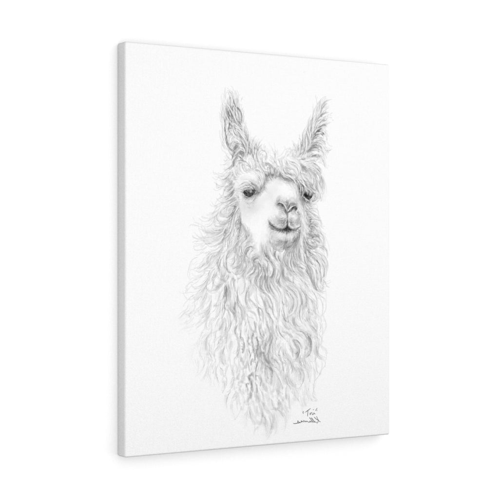 TORI Llama - Art Canvas