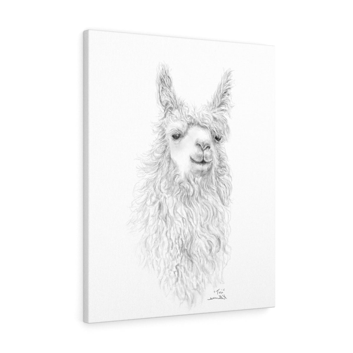 TORI Llama - Art Canvas