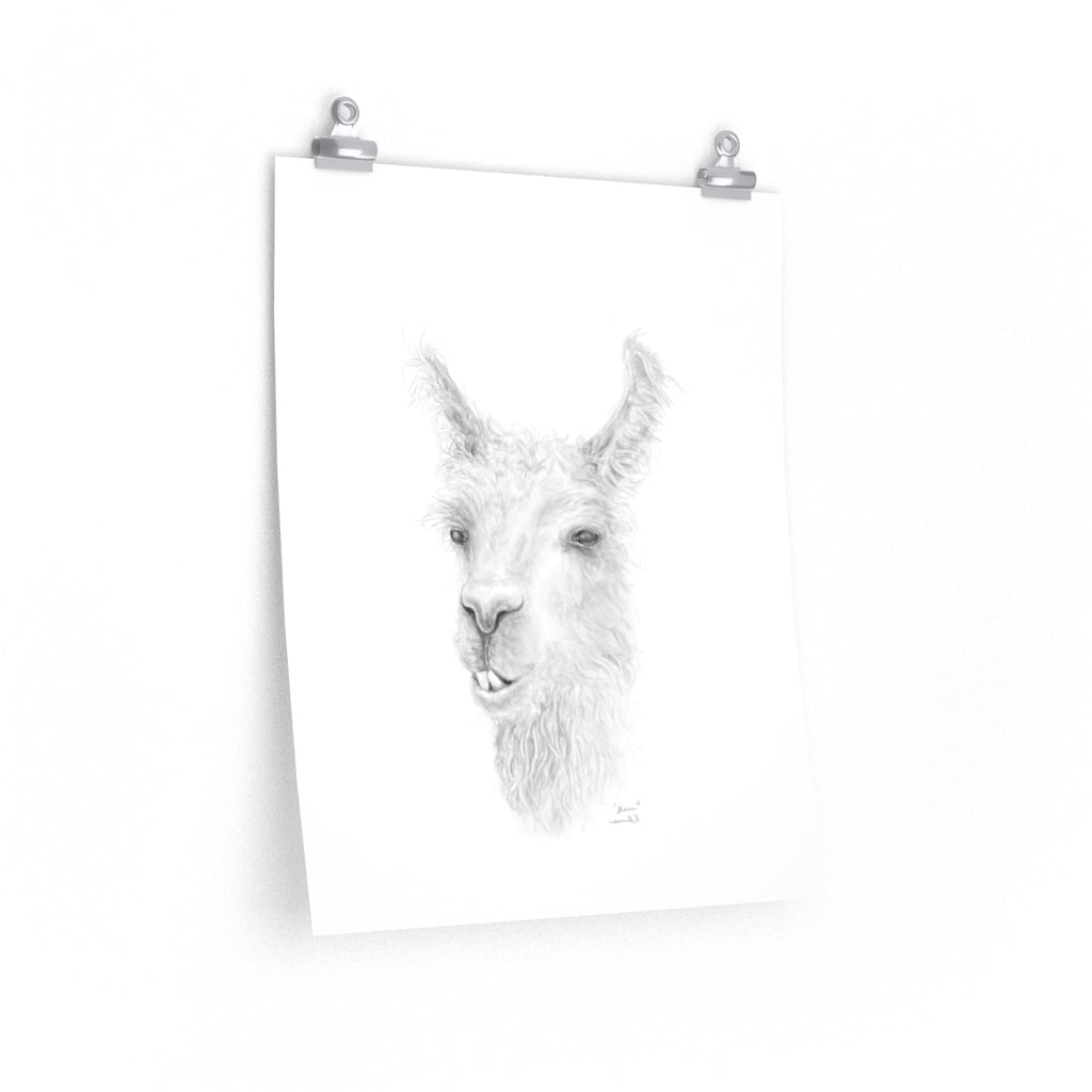 SHAUN Llama- Art Paper Print