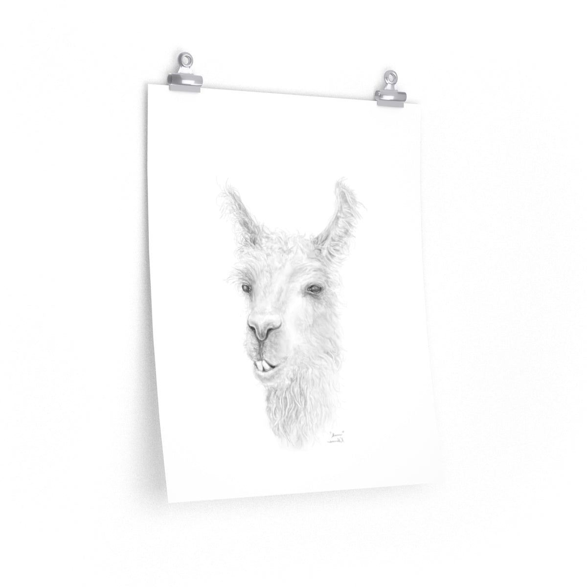 SHAUN Llama- Art Paper Print
