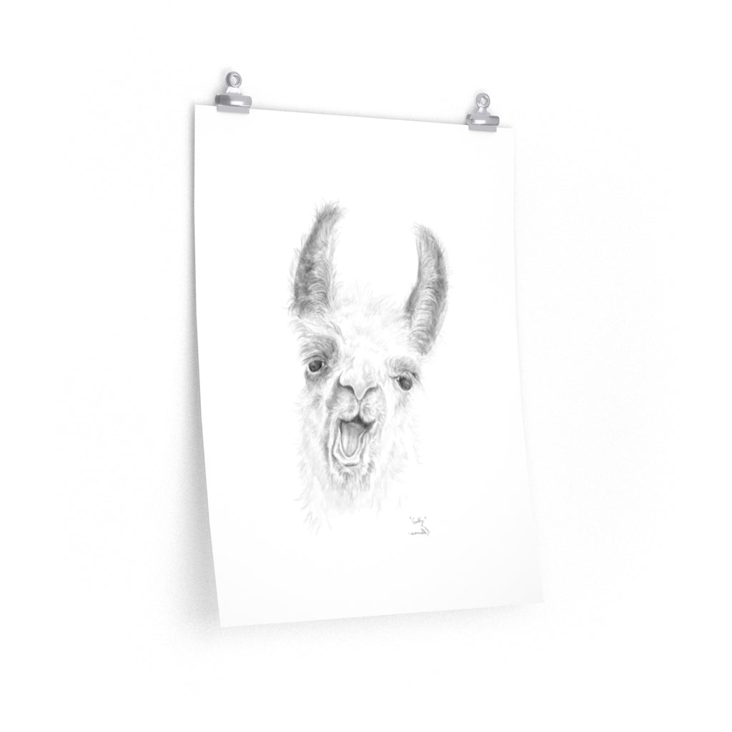 Gabby Llama- Art Paper Print