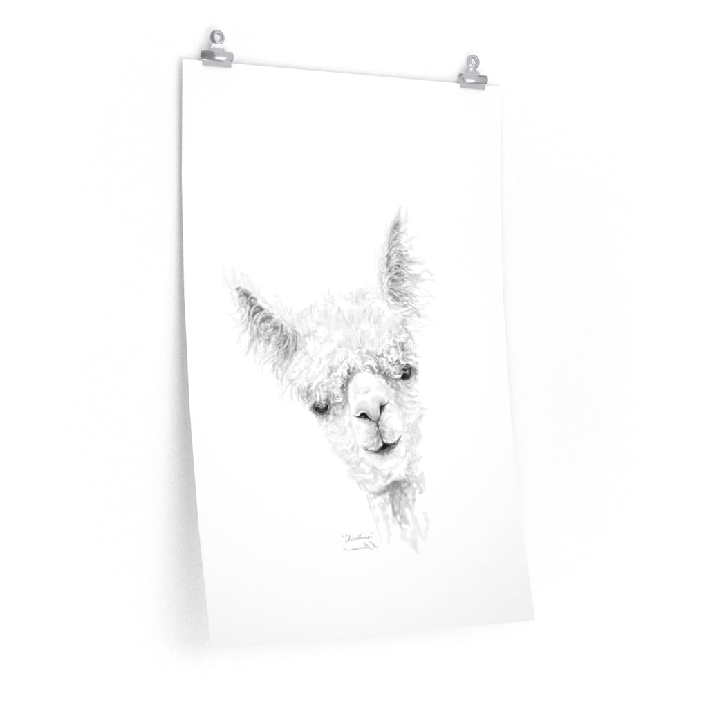 CHRISTINA Llama- Art Paper Print