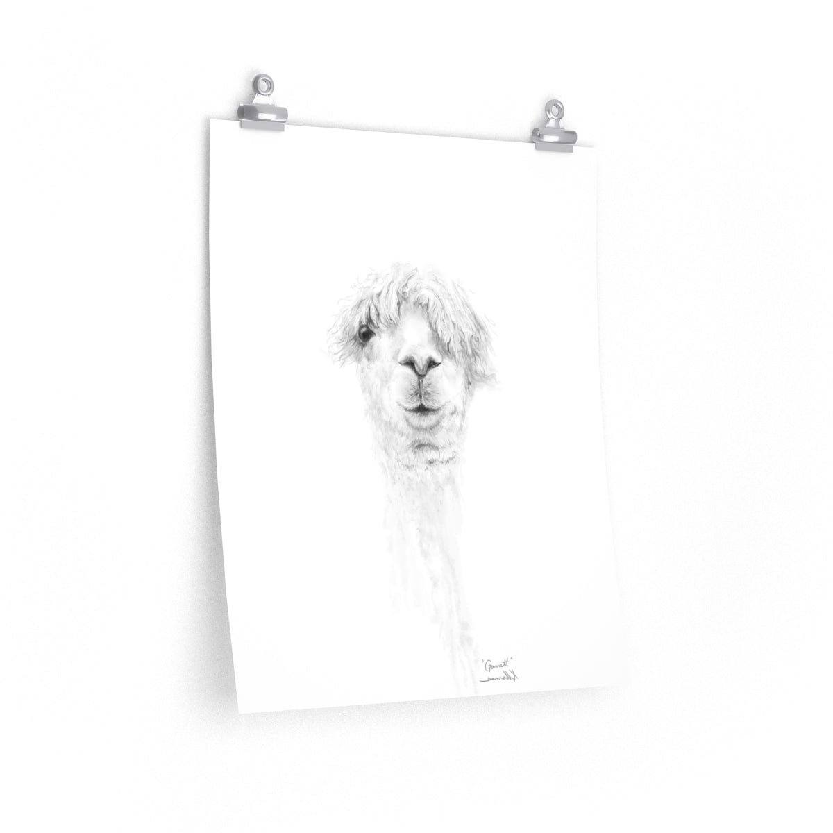 GARRETT Llama- Art Paper Print