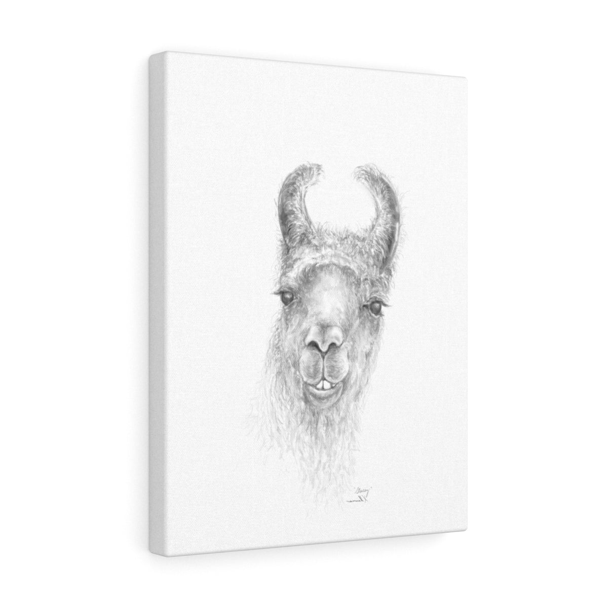STACEY Llama - Art Canvas