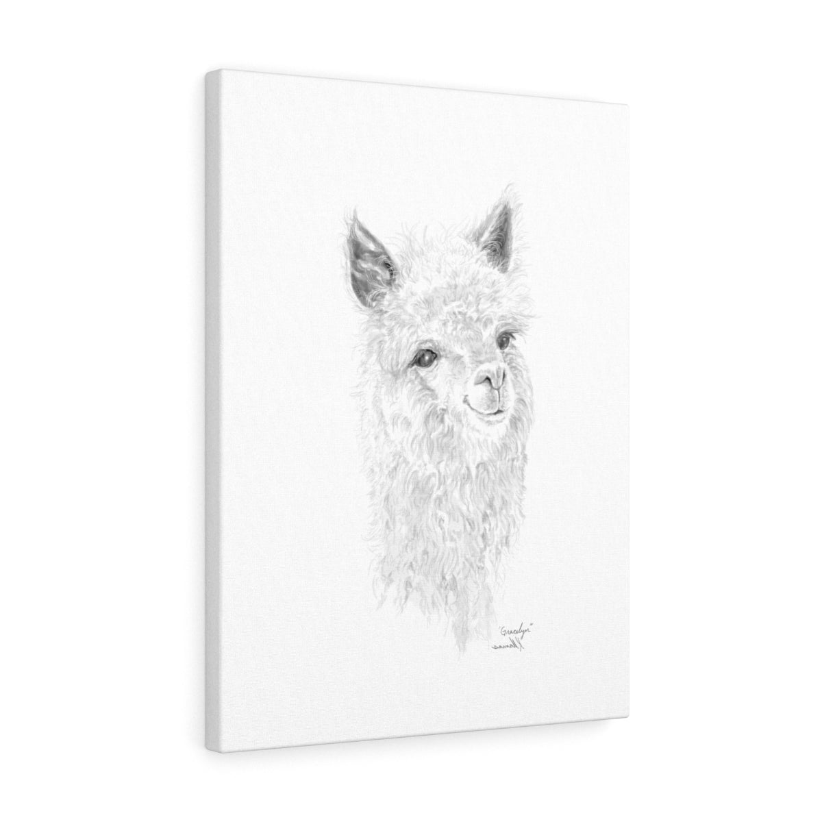 Gracelyn Llama - Art Canvas