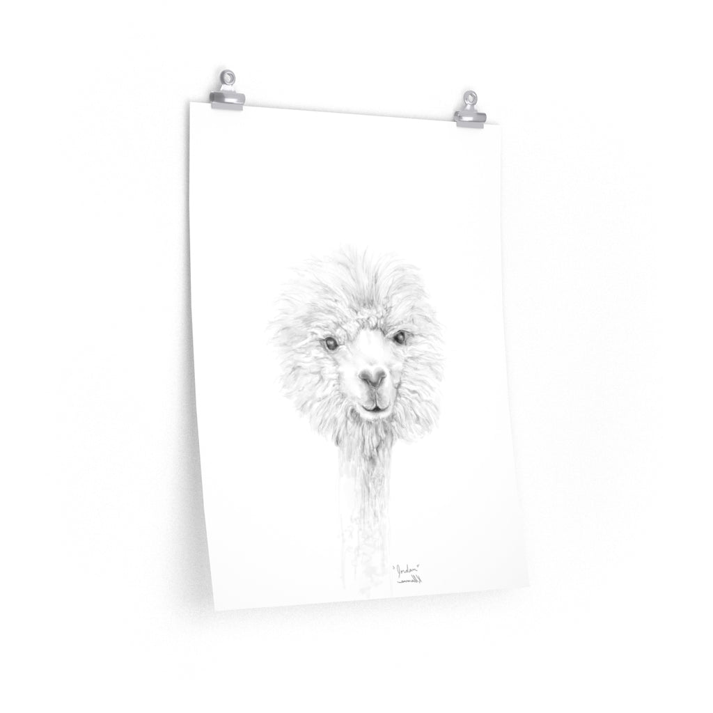 JORDAN Llama- Art Paper Print