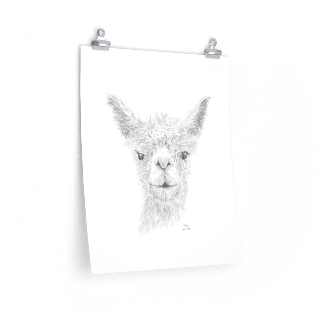 Alex Llama- Art Paper Print