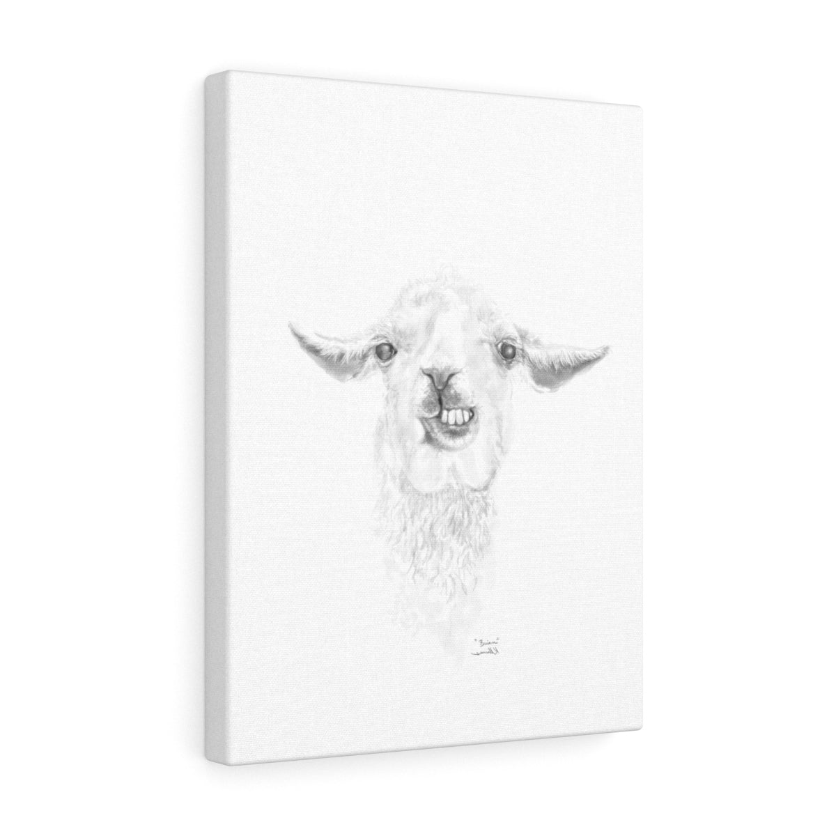 BRIAN Llama - Art Canvas