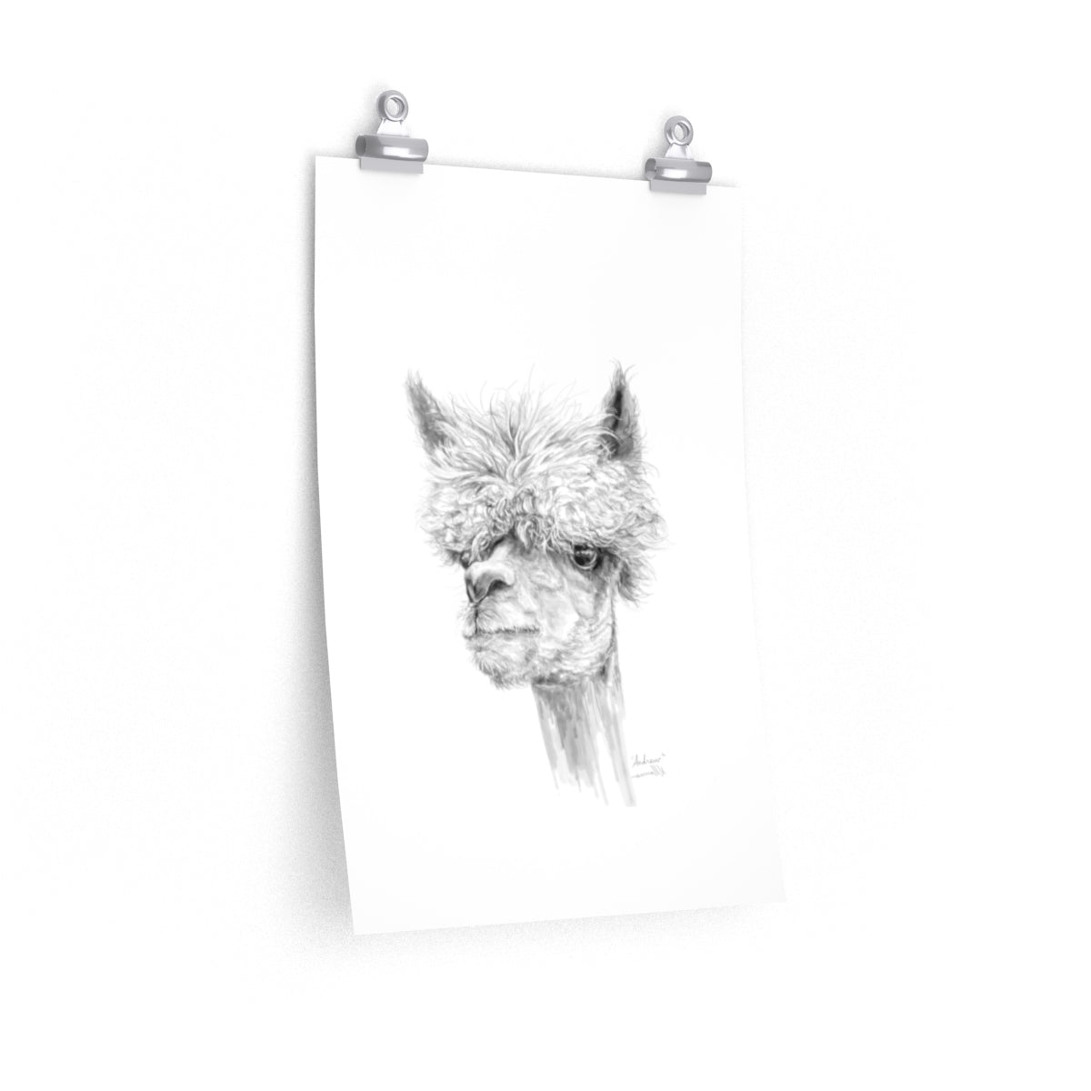 ANDREW Llama- Art Paper Print