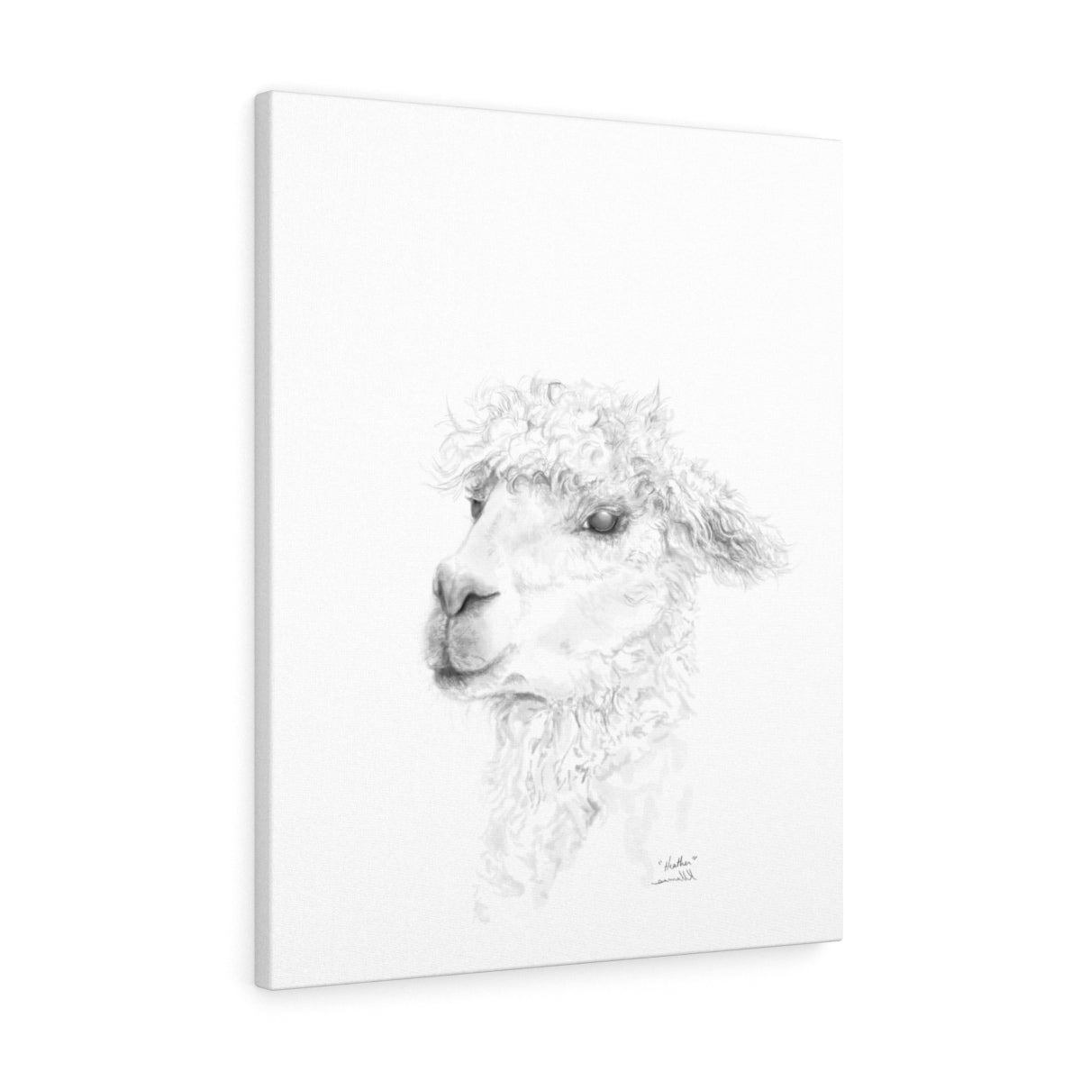 HEATHER Llama - Art Canvas