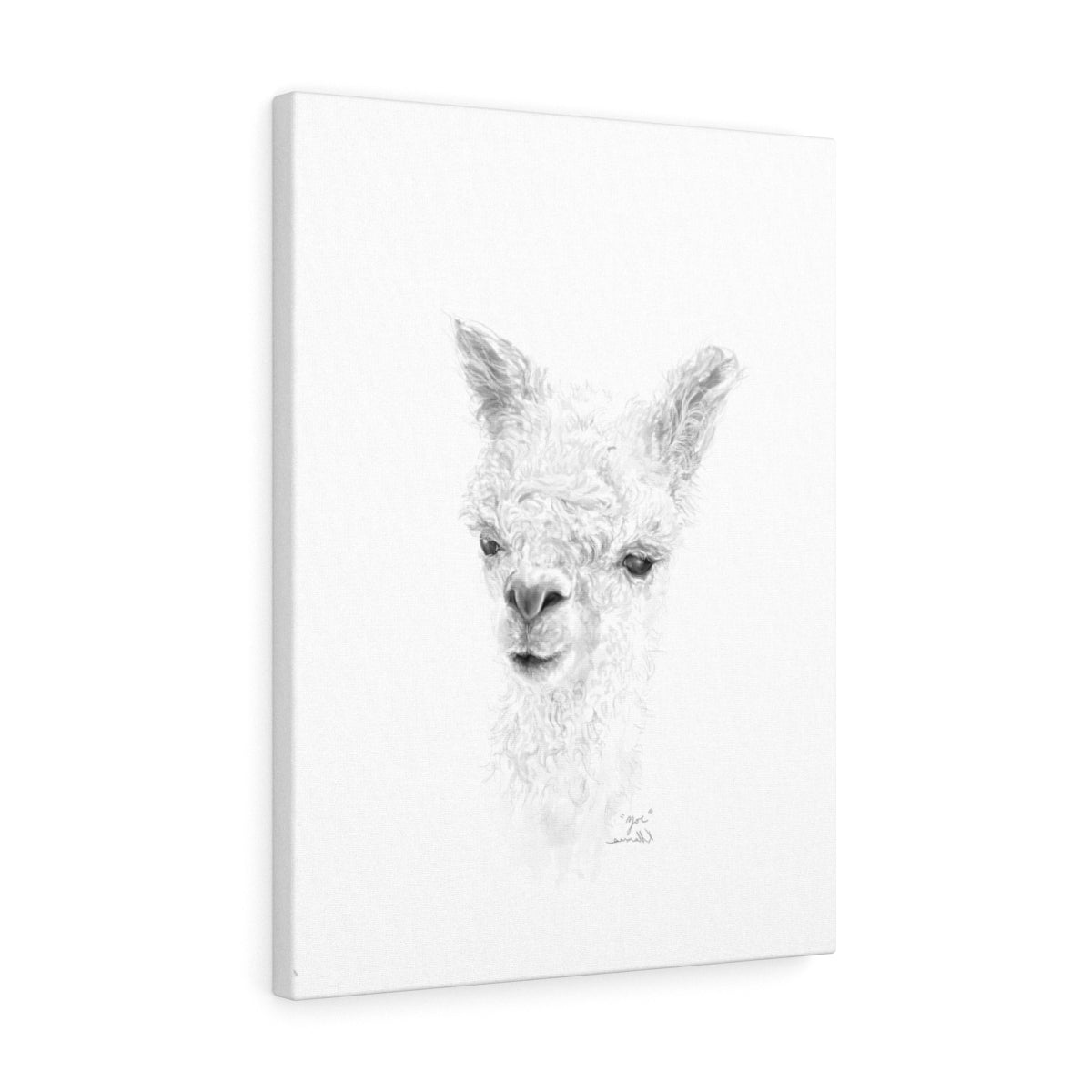 ZOE Llama - Art Canvas
