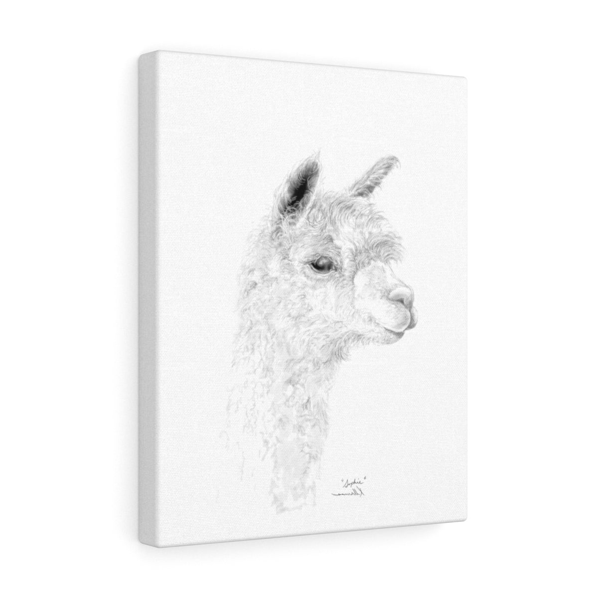 SOPHIE llama- Art Canvas