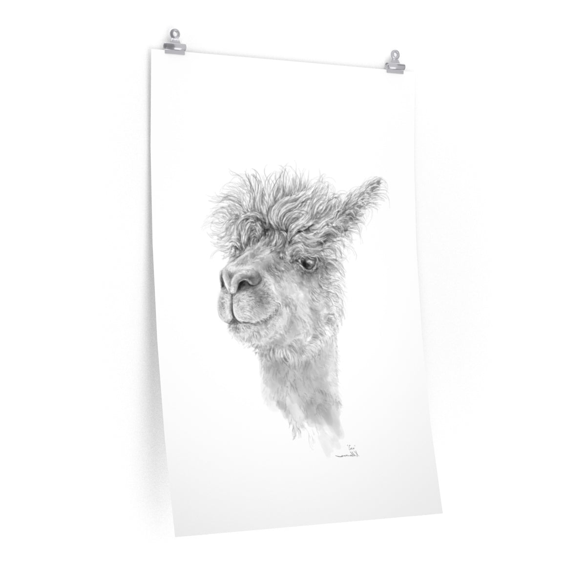 COCO Llama- Art Paper Print