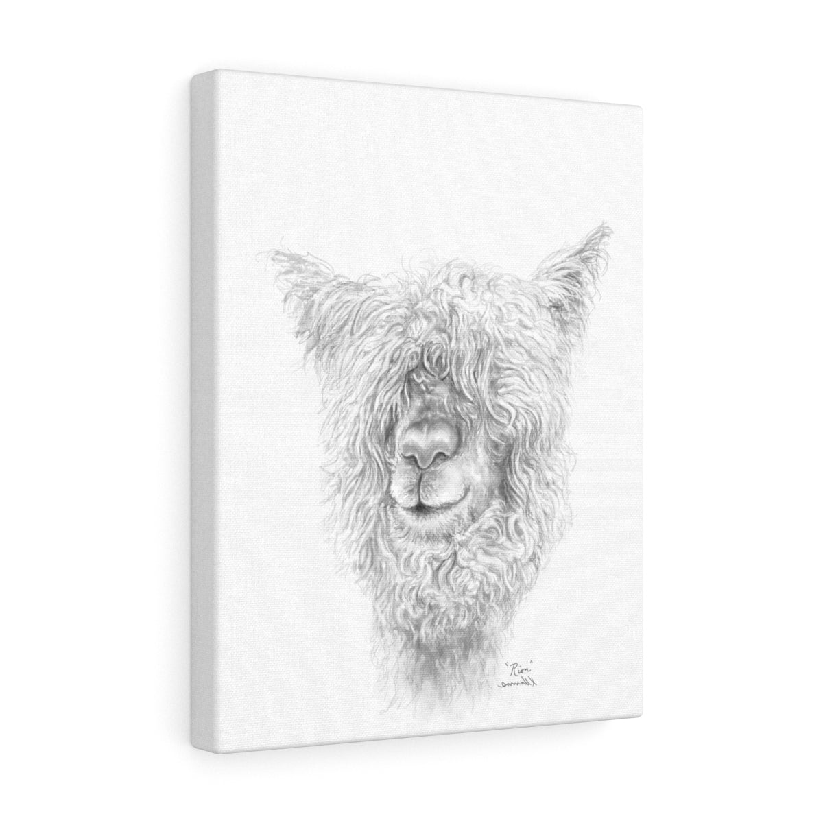 RION Llama - Art Canvas