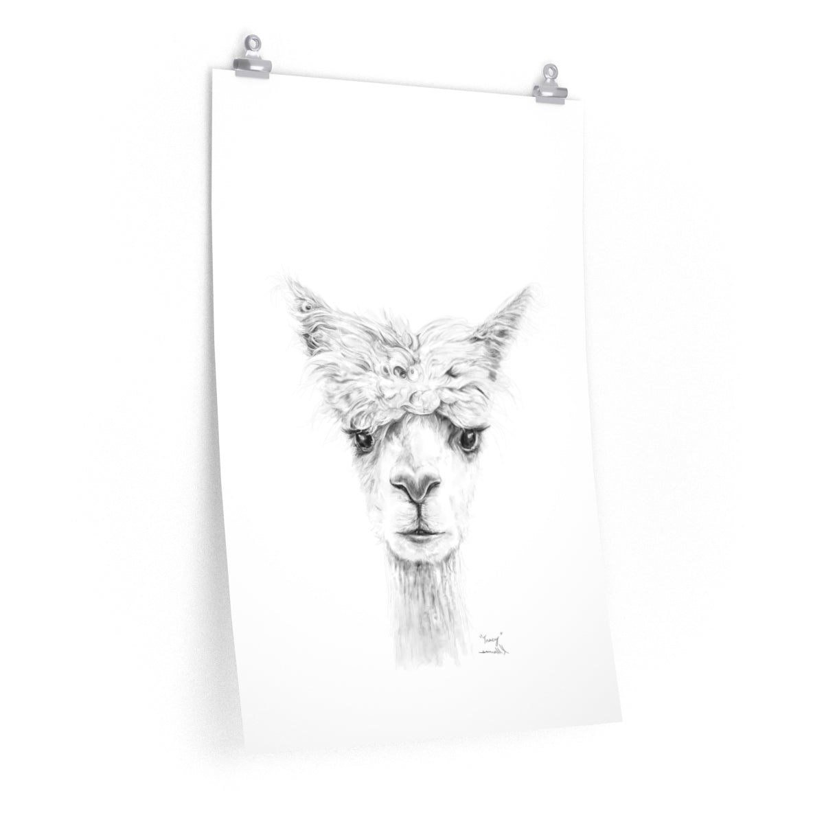 TRACY Llama- Art Paper Print