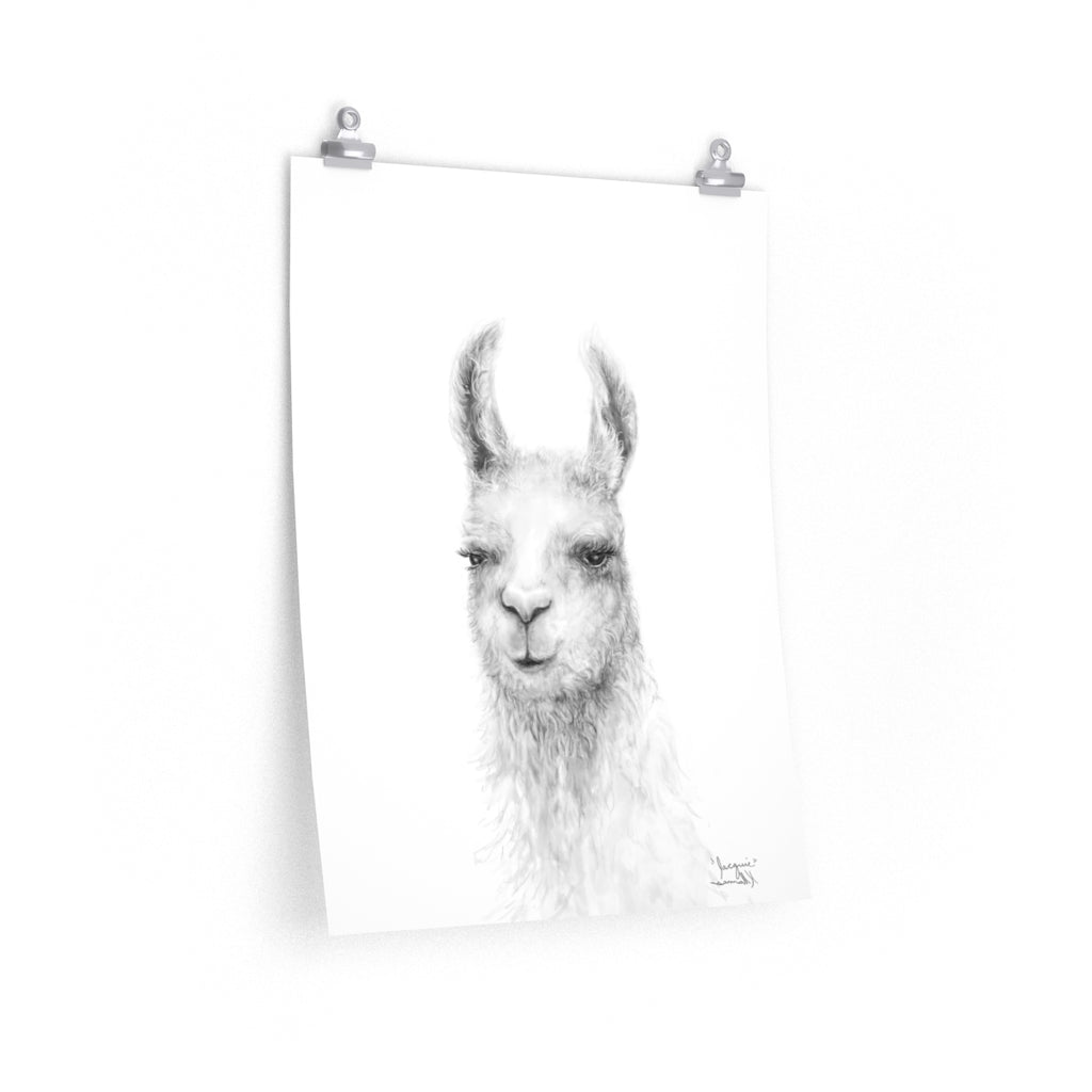 JACQUIE Llama- Art Paper Print