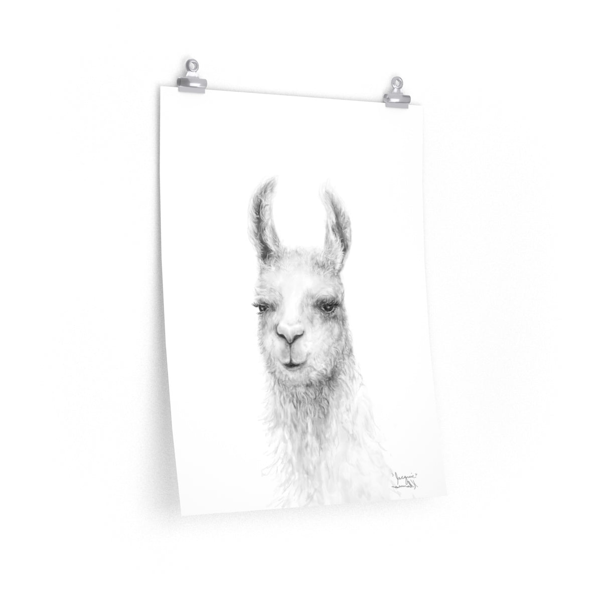 JACQUIE Llama- Art Paper Print