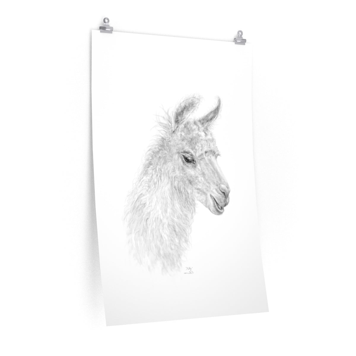 MOLLY Llama- Art Paper Print