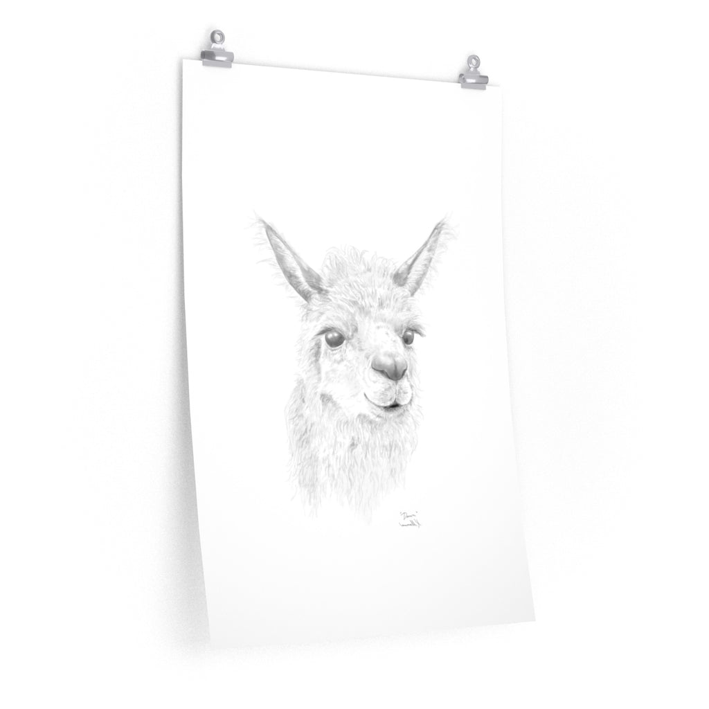 Dawn Llama- Art Paper Print