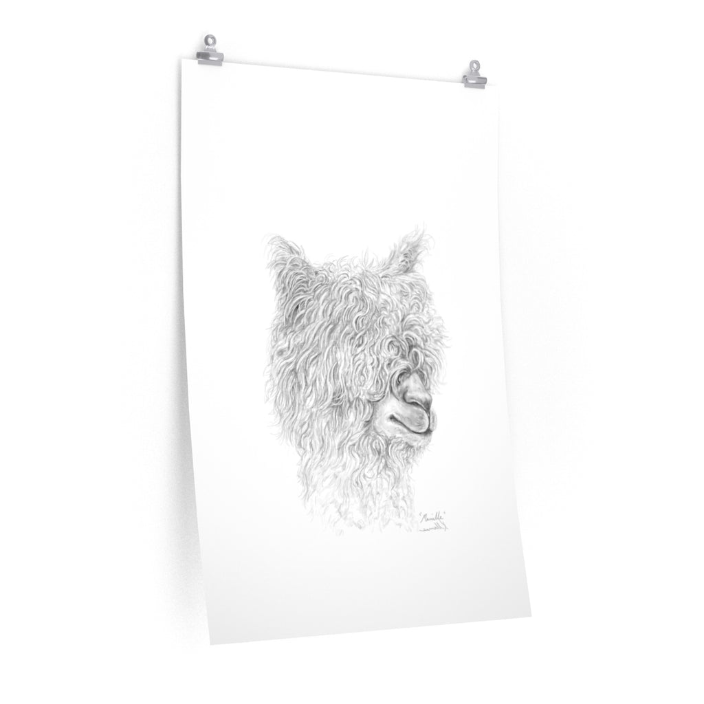 MARIELLE Llama- Art Paper Print