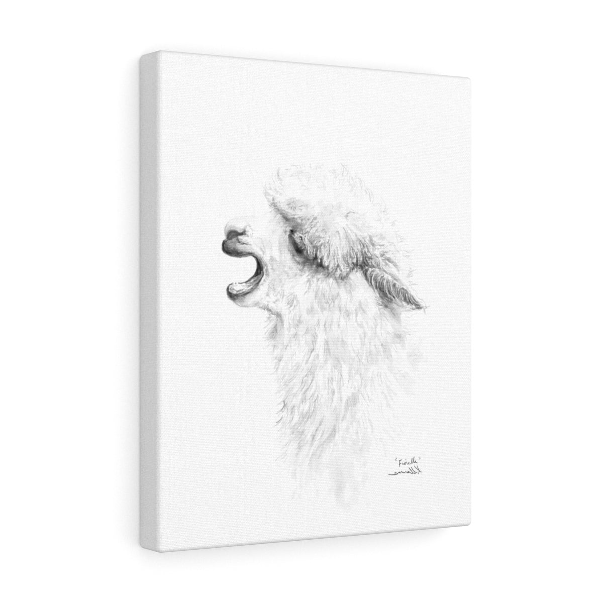 FIORELLA Llama - Art Canvas
