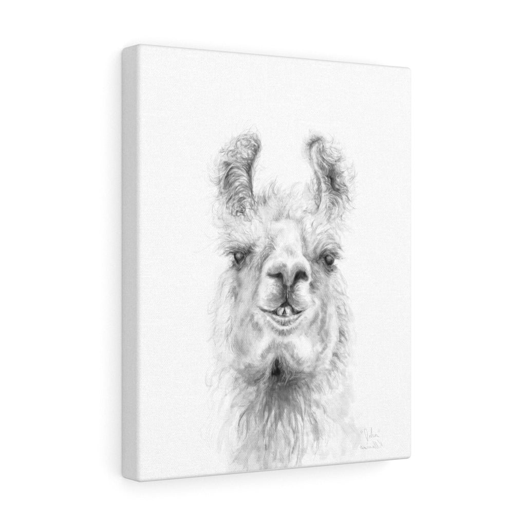 JOHN Llama - Art Canvas