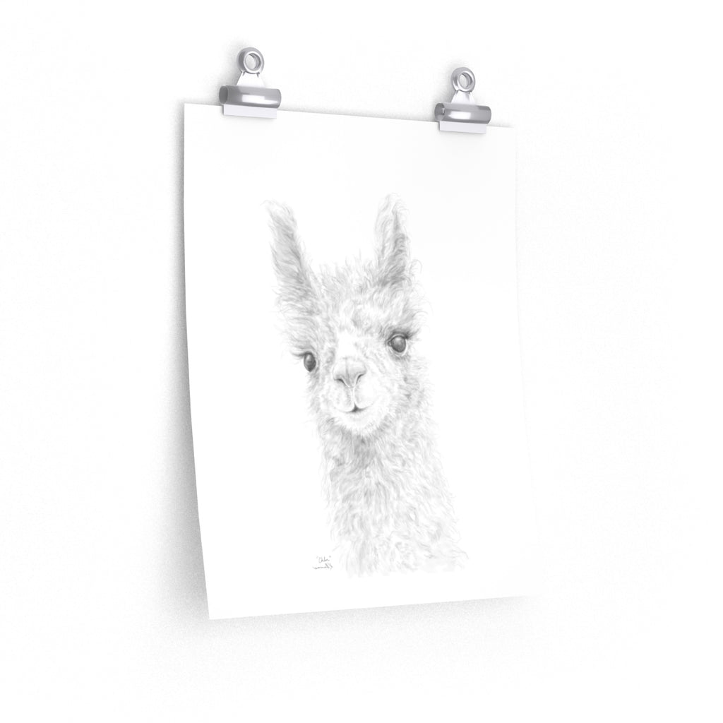 CHLOE Llama- Art Paper Print